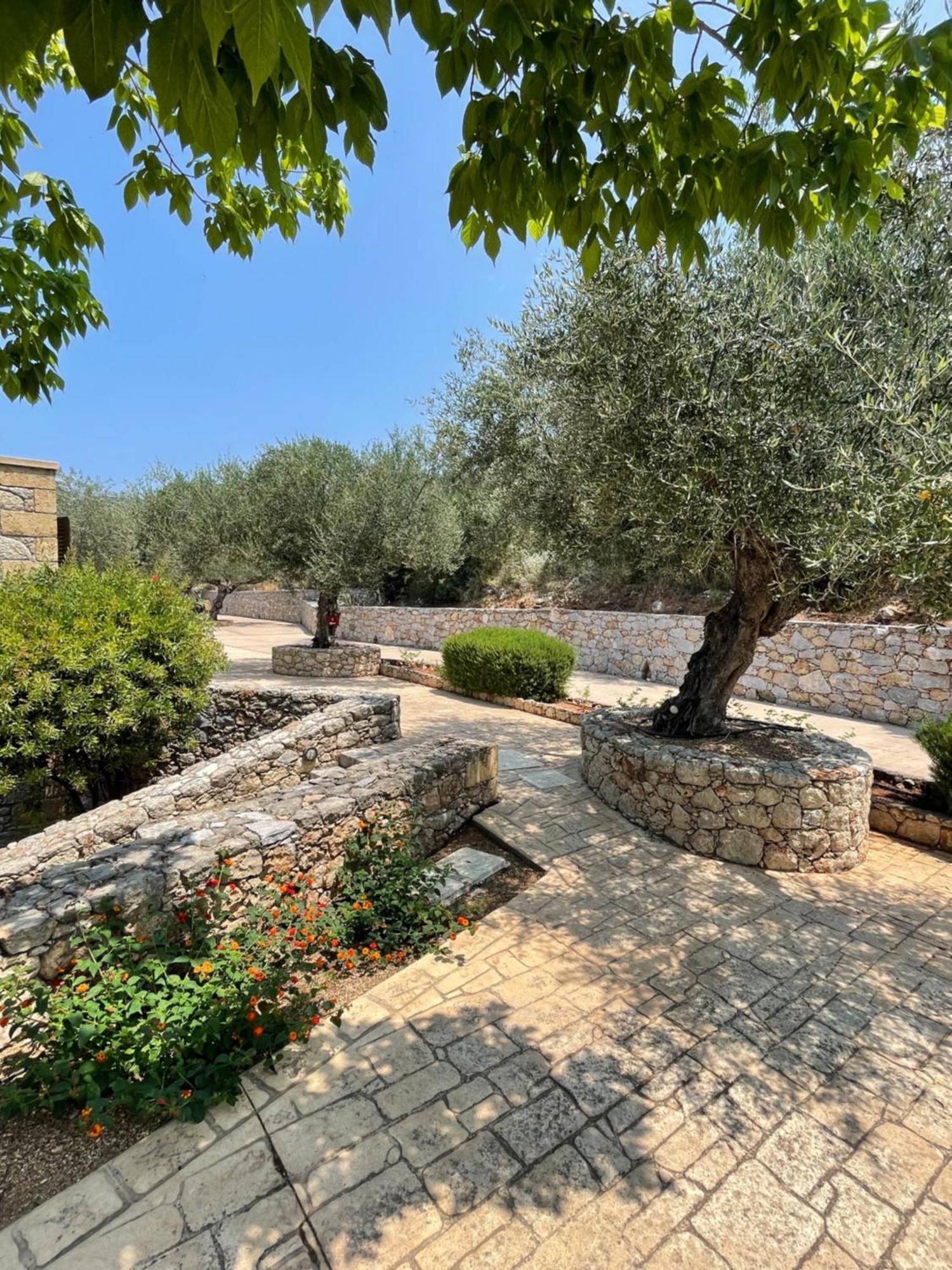 Kolokotronis Hotel & Spa Stoúpa